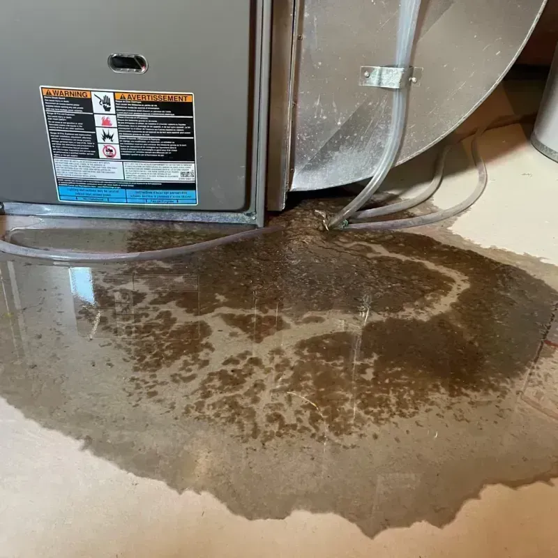 Appliance Leak Cleanup in Madison, IL